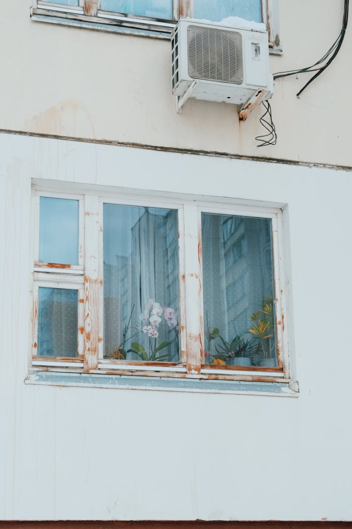 services-03 Detailed view of a window with plants and air conditioner on a weathered urban building wall.